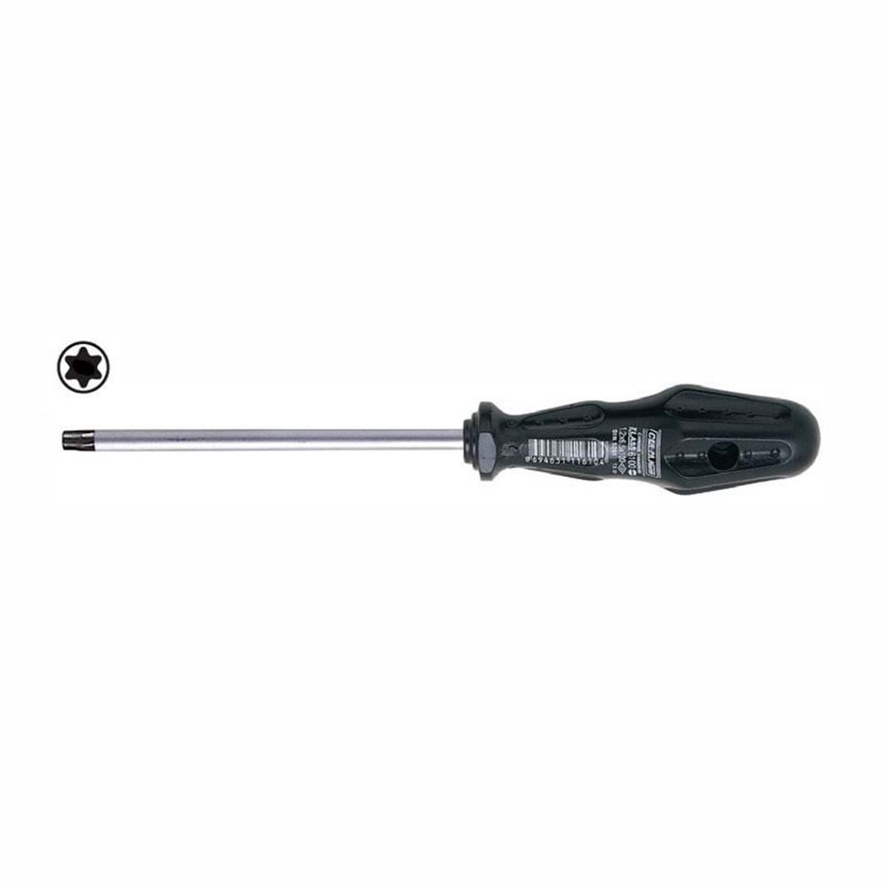 Cer-pa Klass Torx Uçlu Tornavida T25x100