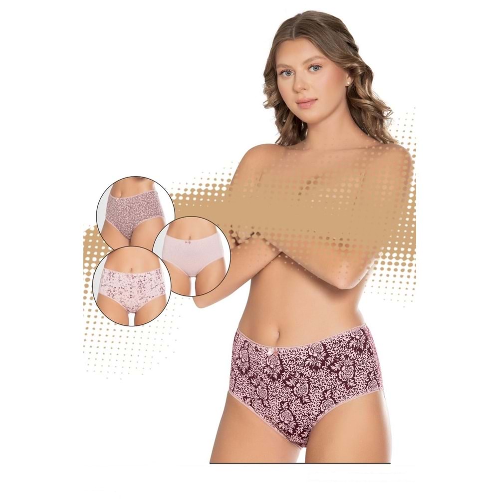 Belinay 3511 Kadın Yüksek Bel Bato Külot 4lü Paket Desenli XL