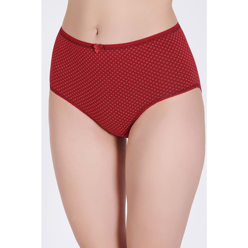 Belinay 3513 Kadın Yüksek Bel Bato Külot 4lü Paket L