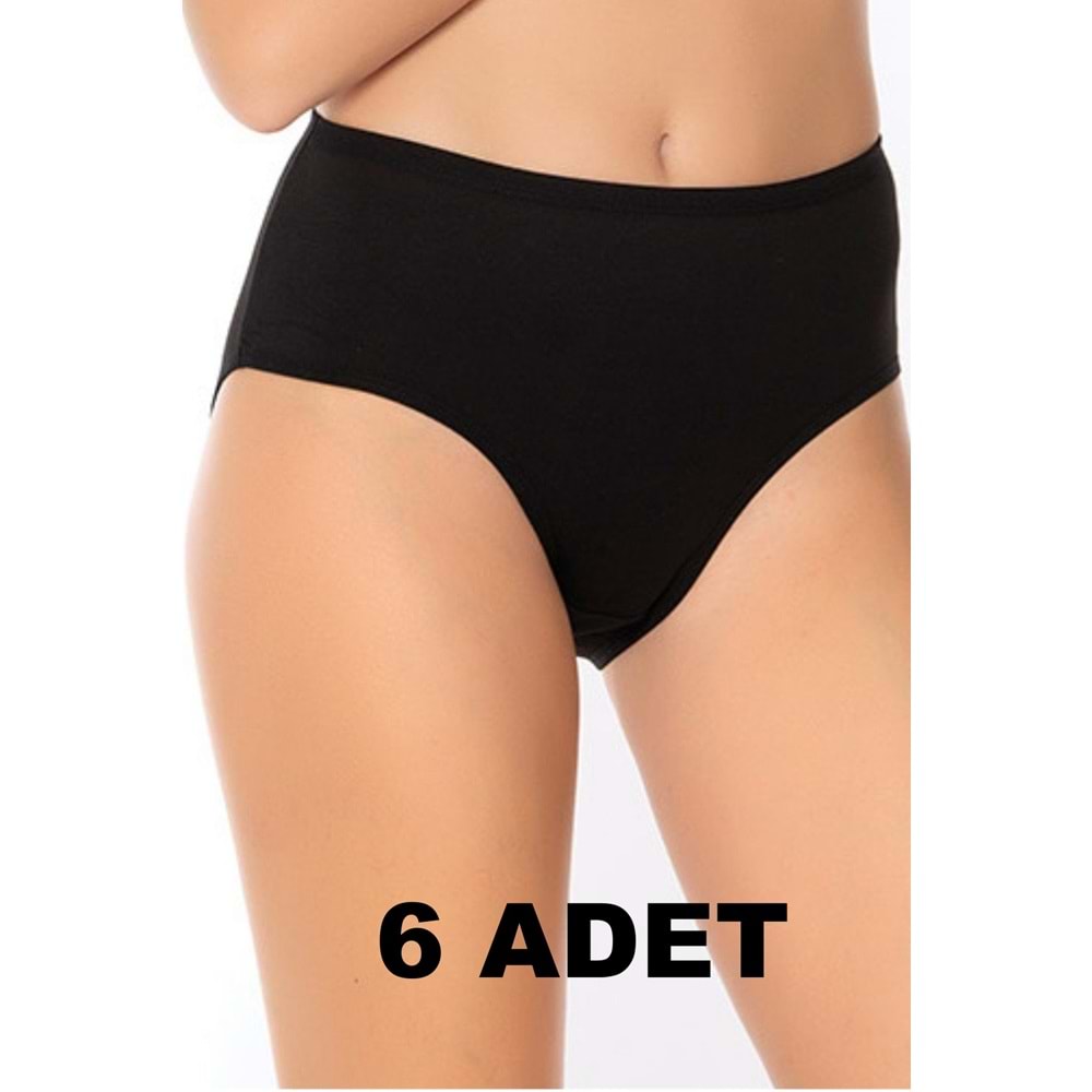 Belinay 6 Adet 0107 Kadın Yüksek Bel Bato Külot Siyah 3