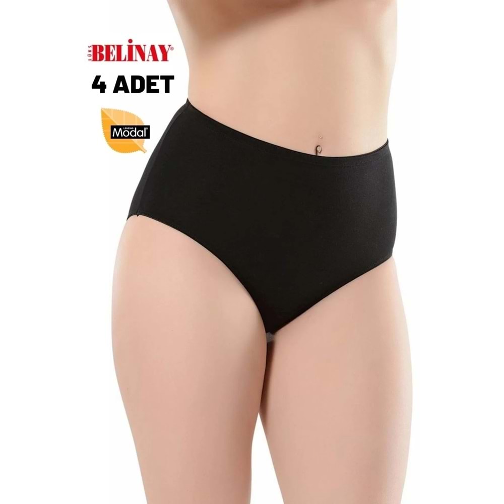 Belinay 4 Adet 069 Kadın Yüksek Bel Modal Külot Siyah 4