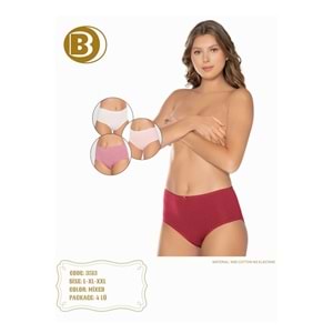 Belinay 3513 Kadın Yüksek Bel Bato Külot 4lü Paket L