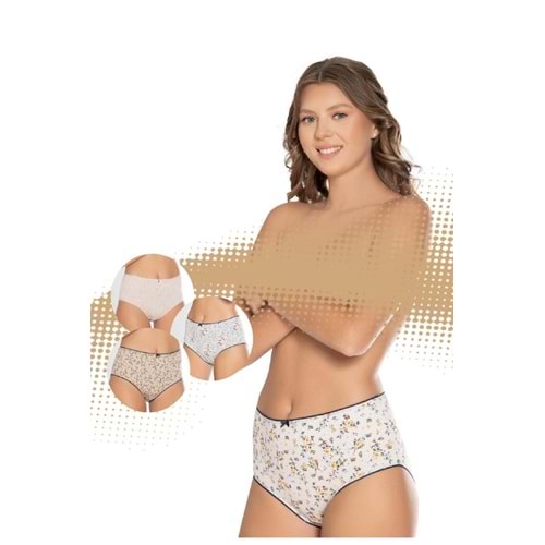 Belinay 3512 Kadın Yüksek Bel Bato Külot 4lü Paket Desenli L