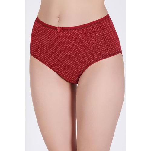 Belinay 3513 Kadın Yüksek Bel Bato Külot 4lü Paket