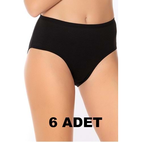 Belinay 6 Adet 0107 Kadın Yüksek Bel Bato Külot Siyah 3