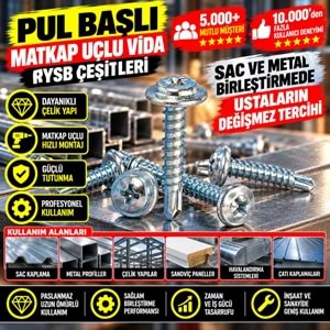 Hırsan Pul Başlı Matkap Uçlu Vida RYSB 4.8x16 (500 Ad)